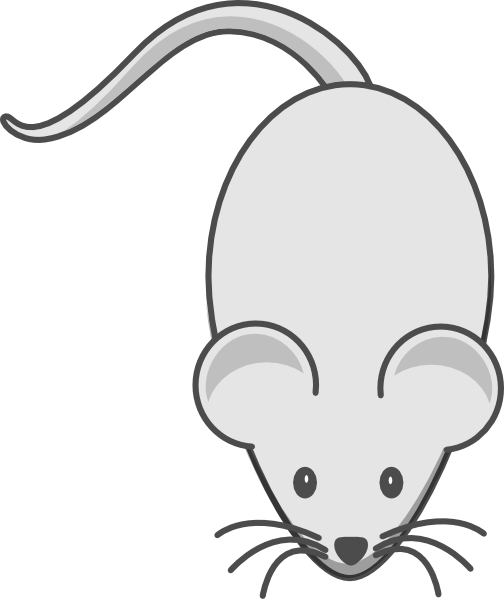 clipart mouse grey mouse
