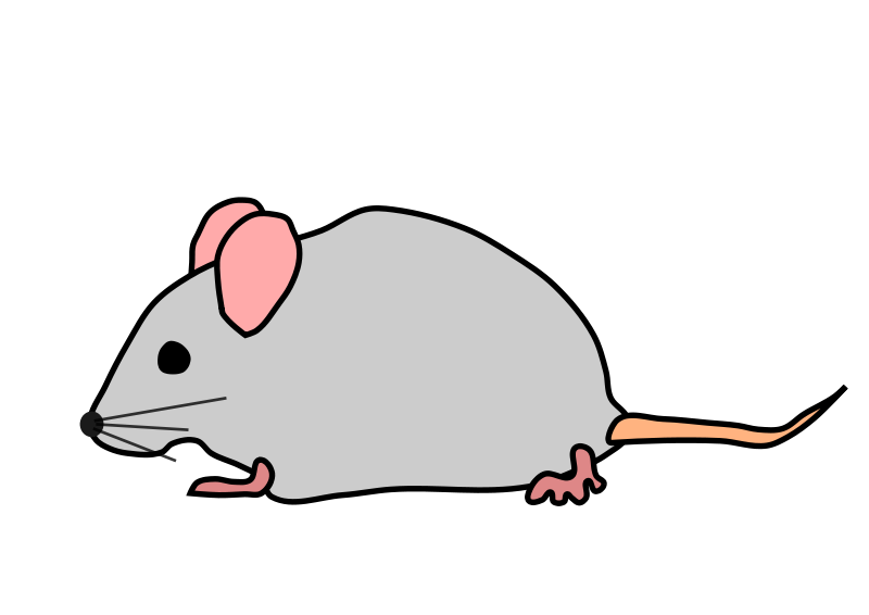 mice clipart gray mouse