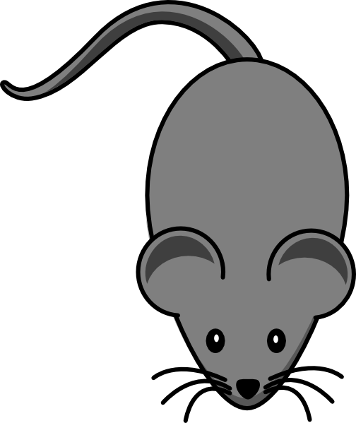 Mouse dark grey lab. Mice clipart science