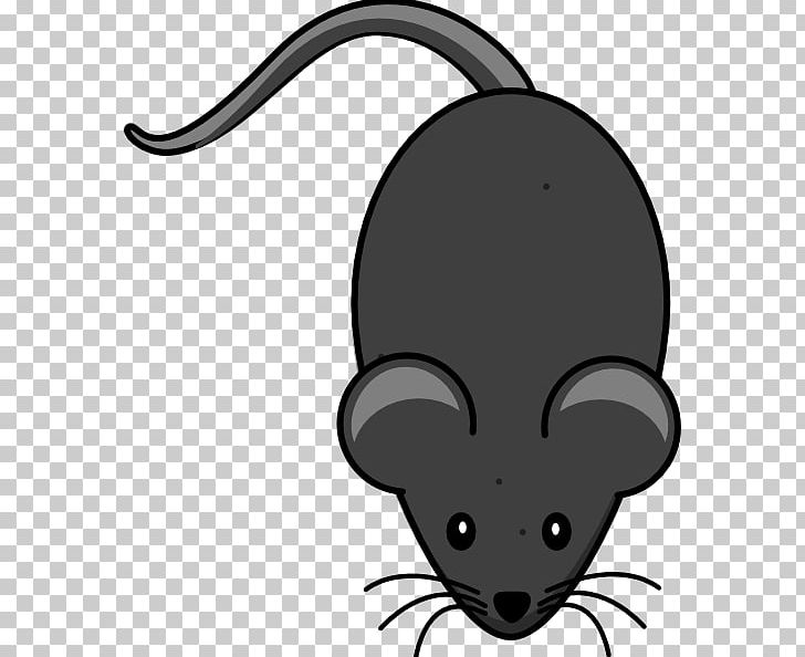 mouse clipart mouse tail
