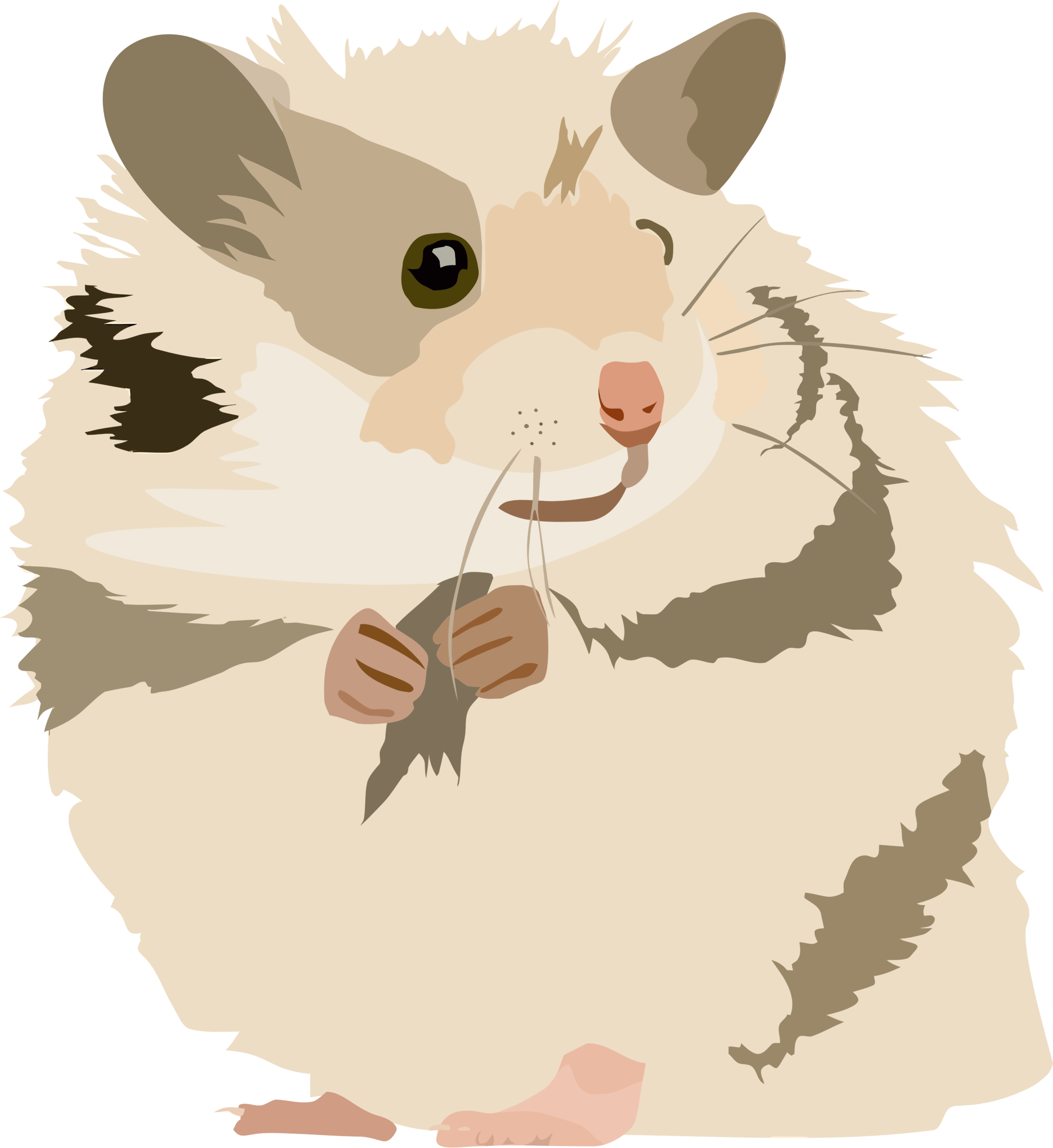 Rat clipart clear background. Hamster