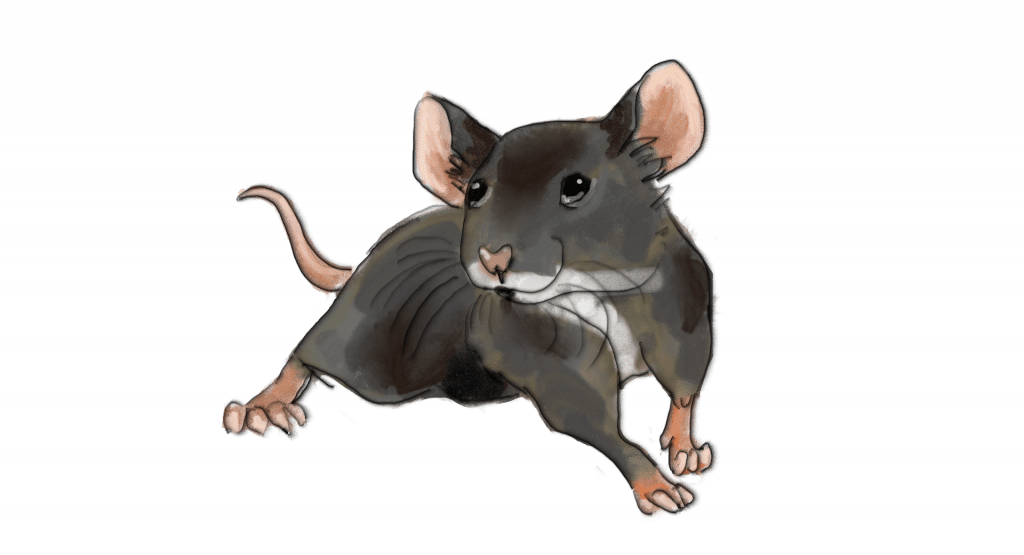 mice clipart tiny mouse