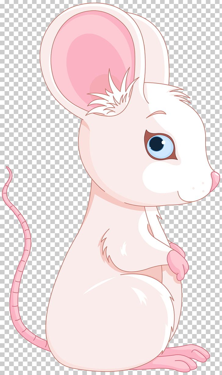 Rat whiskers illustration png. Clipart rabbit mouse