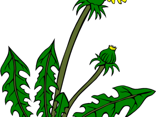 clipart mouse ragweed