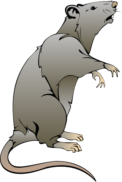 clipart mouse rat