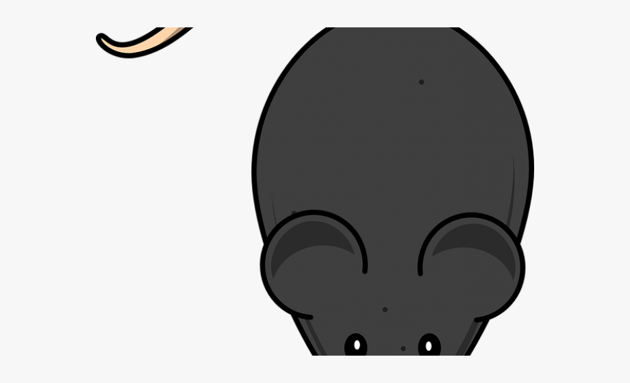 clipart mouse rodent