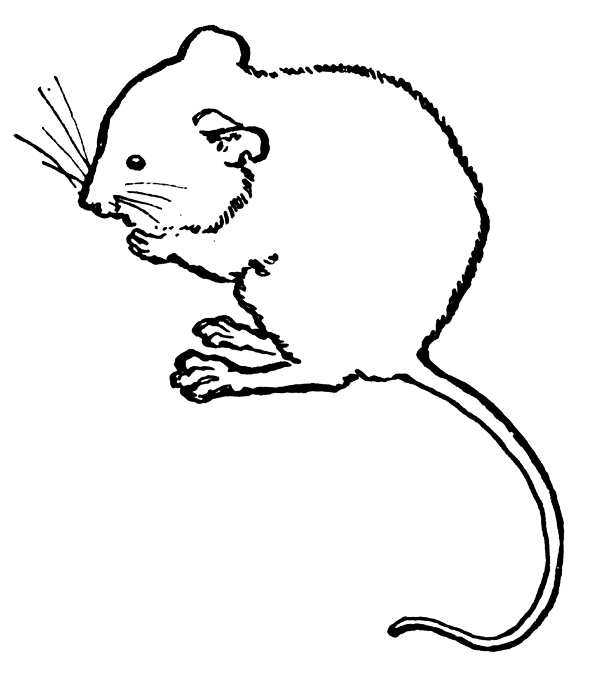 mice clipart outline