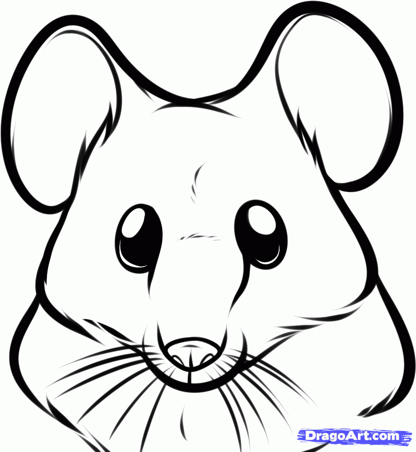 X free clip art. Mice clipart sketch