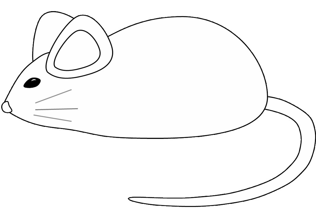 clipart mouse sketch