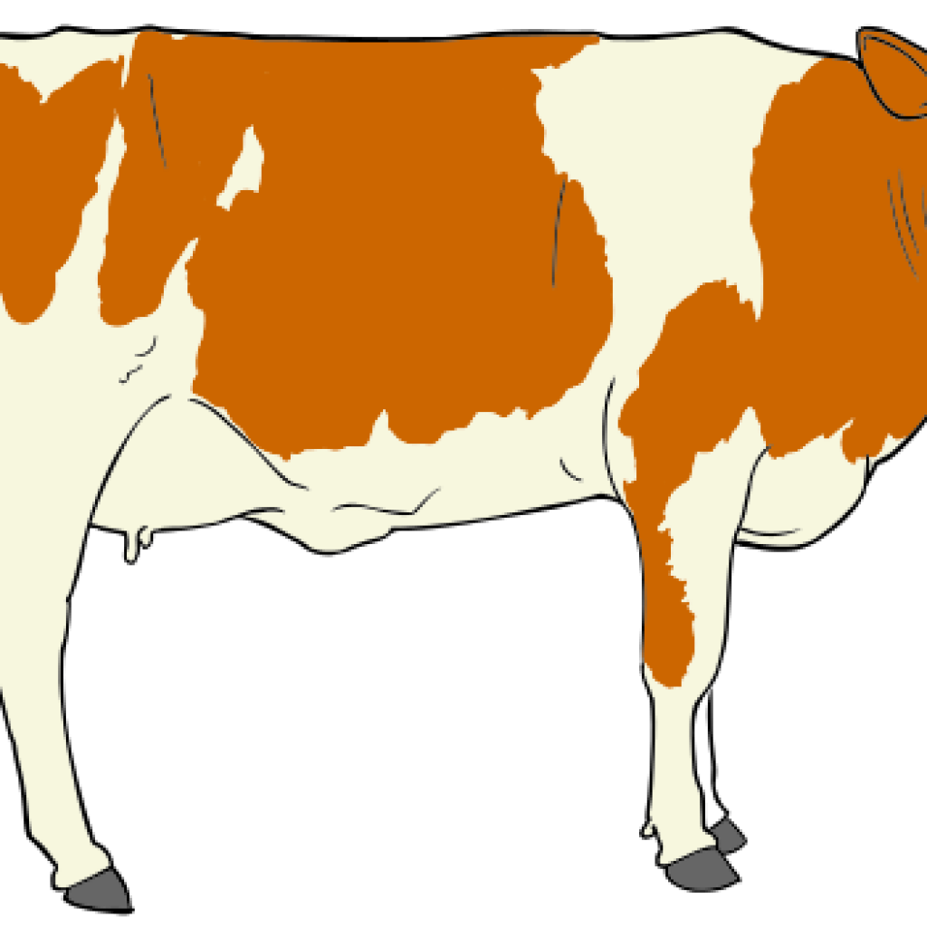 cows clipart mouth