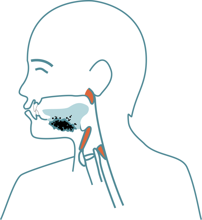 clipart mouth esophagus
