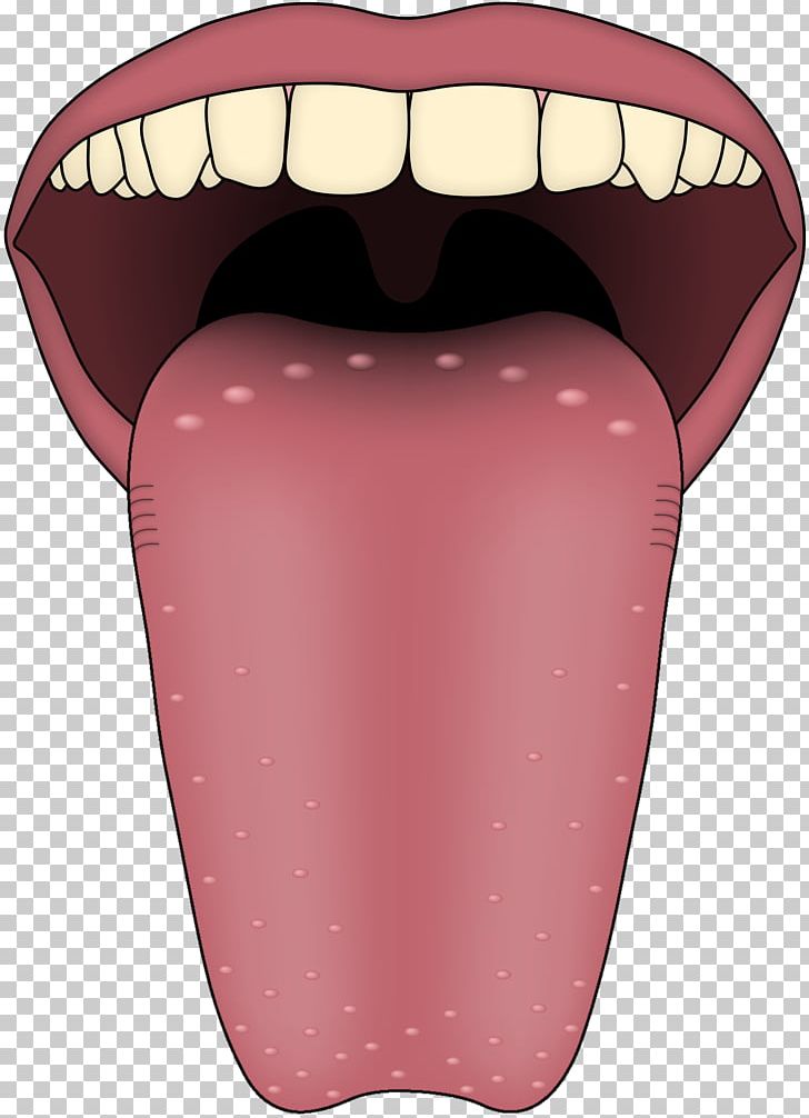 clipart mouth mouth taste