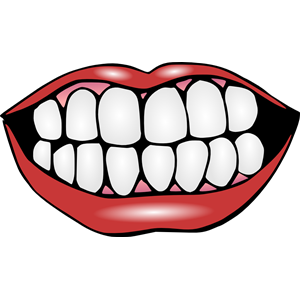 clipart mouth nice tooth