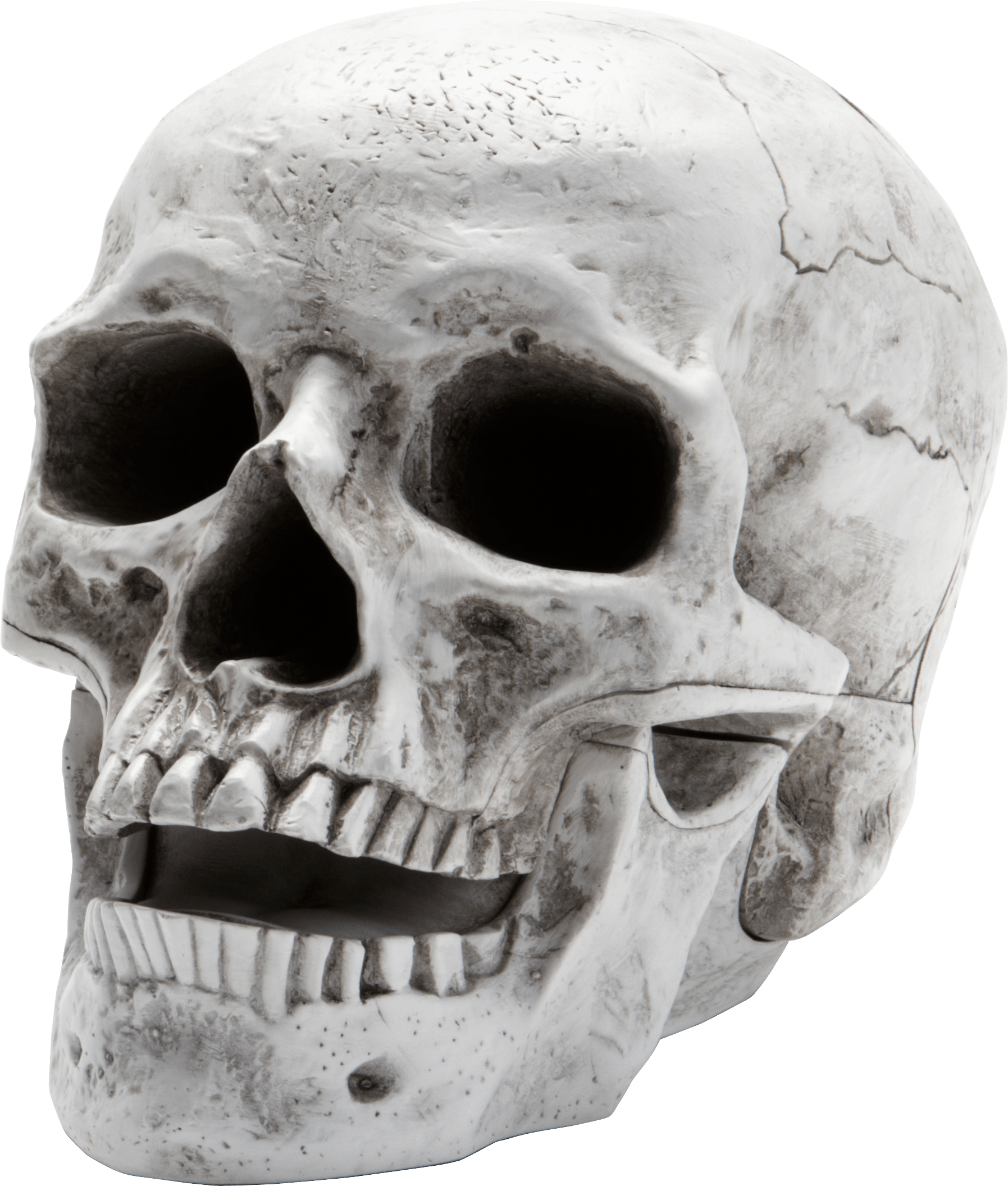 Clipart skeleton mouth. Sideview large skull transparent