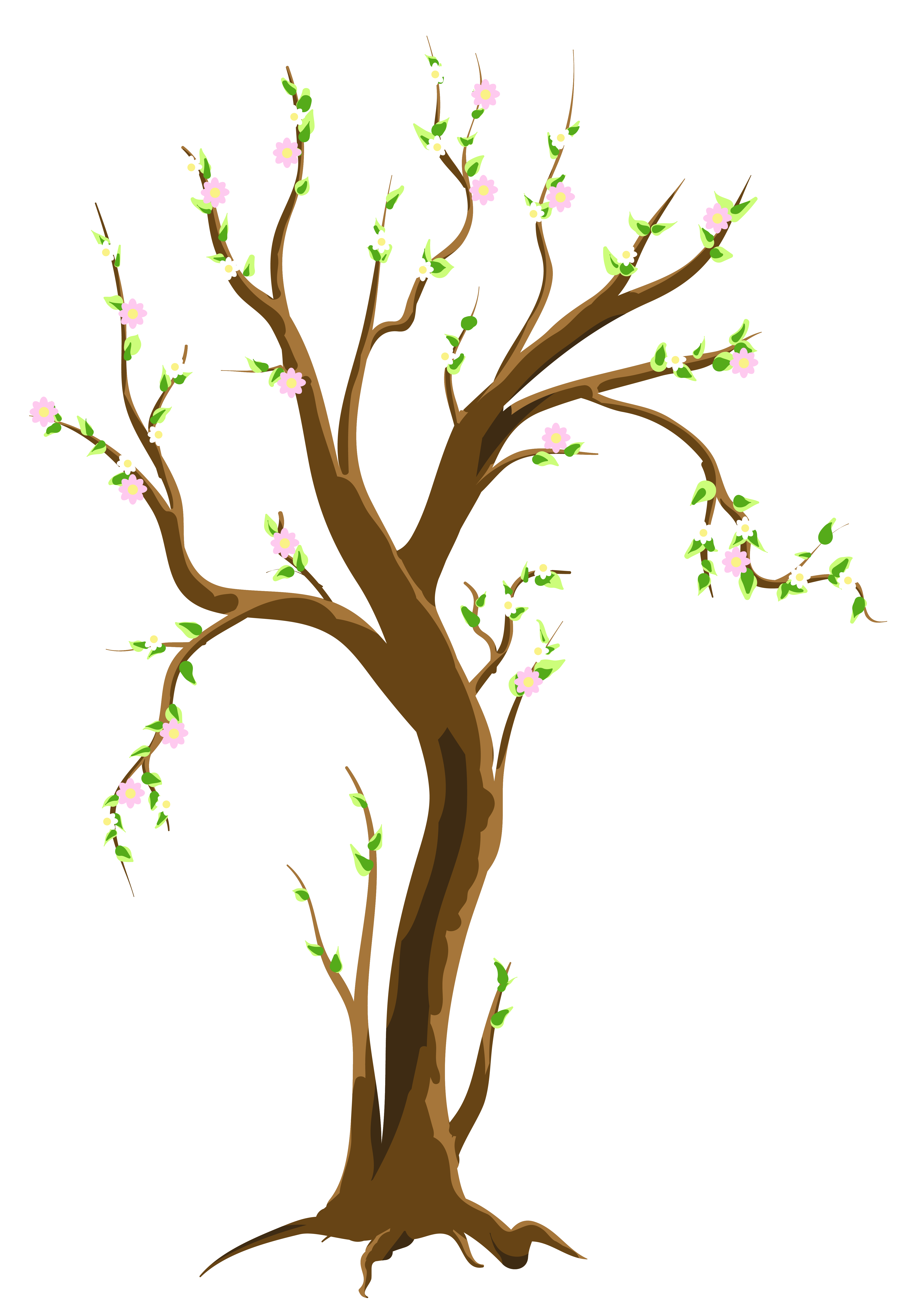 coloring clipart tree