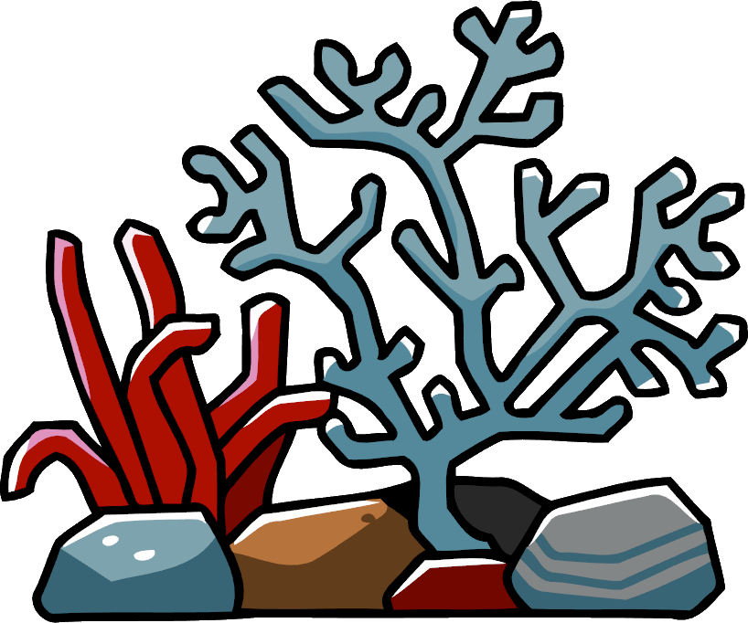Coral clipart coral reef, Coral coral reef Transparent FREE for ...