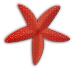 starfish clipart ocean