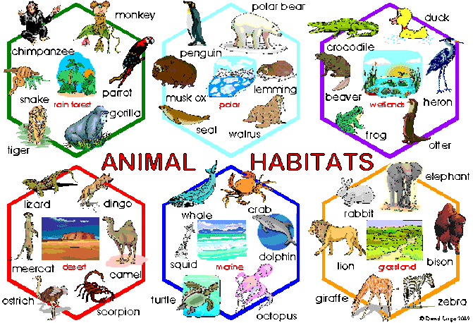 Explorer clipart biome. Check out these sites