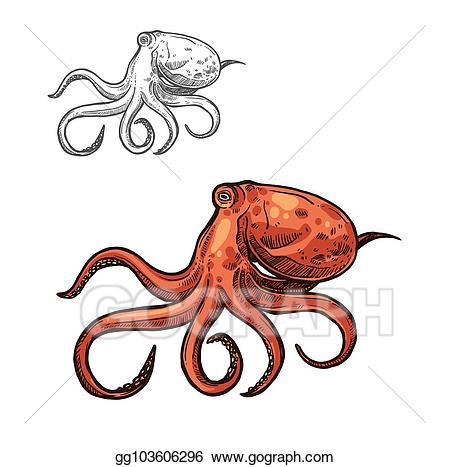 Clipart octopus aquatic animal. Vector art sea sketch