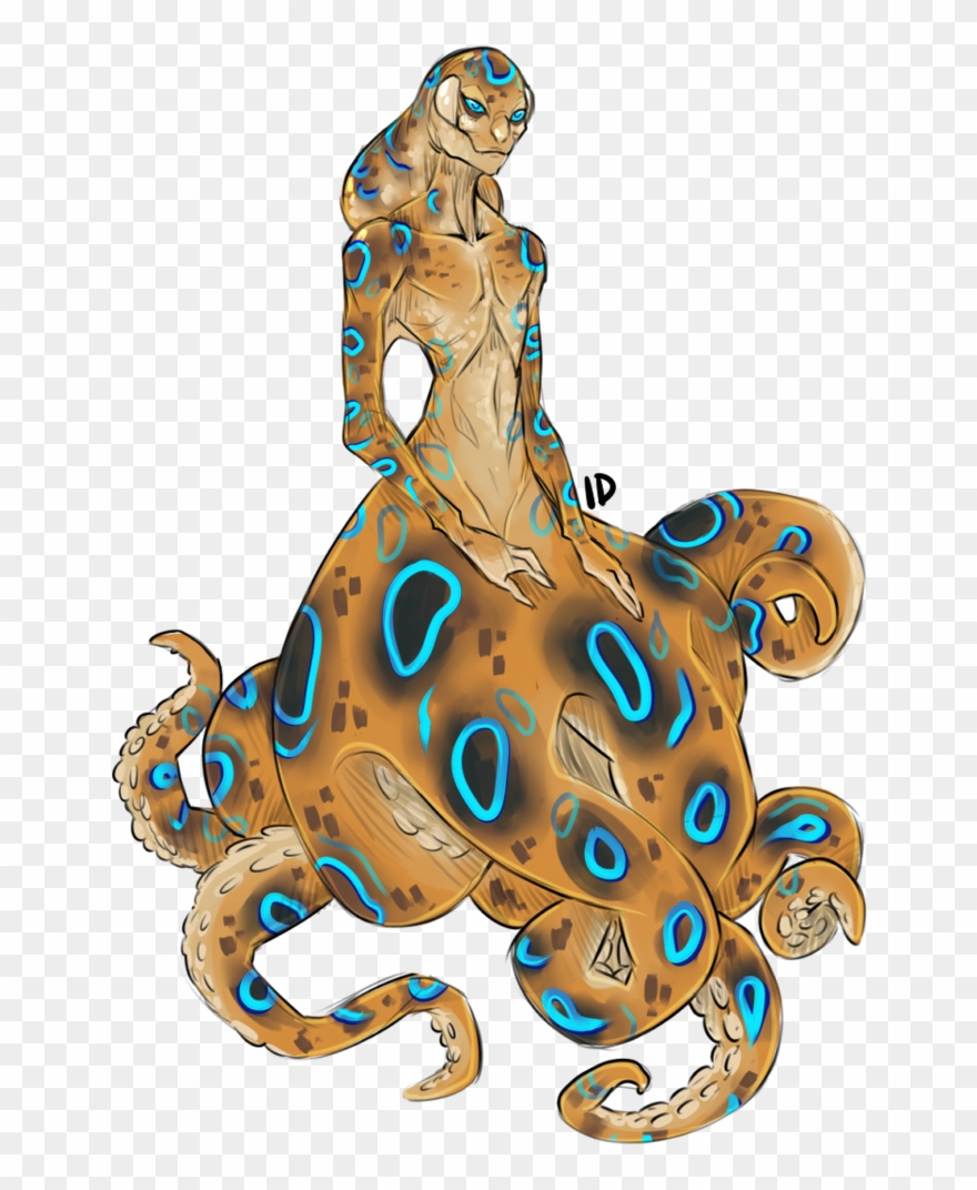 octopus clipart blue ringed octopus