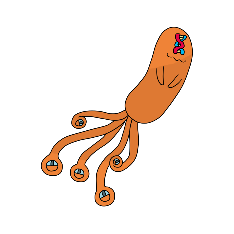octopus clipart fake