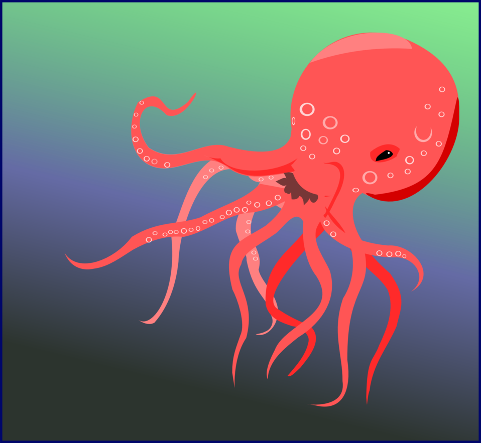 clipart octopus jellyfish
