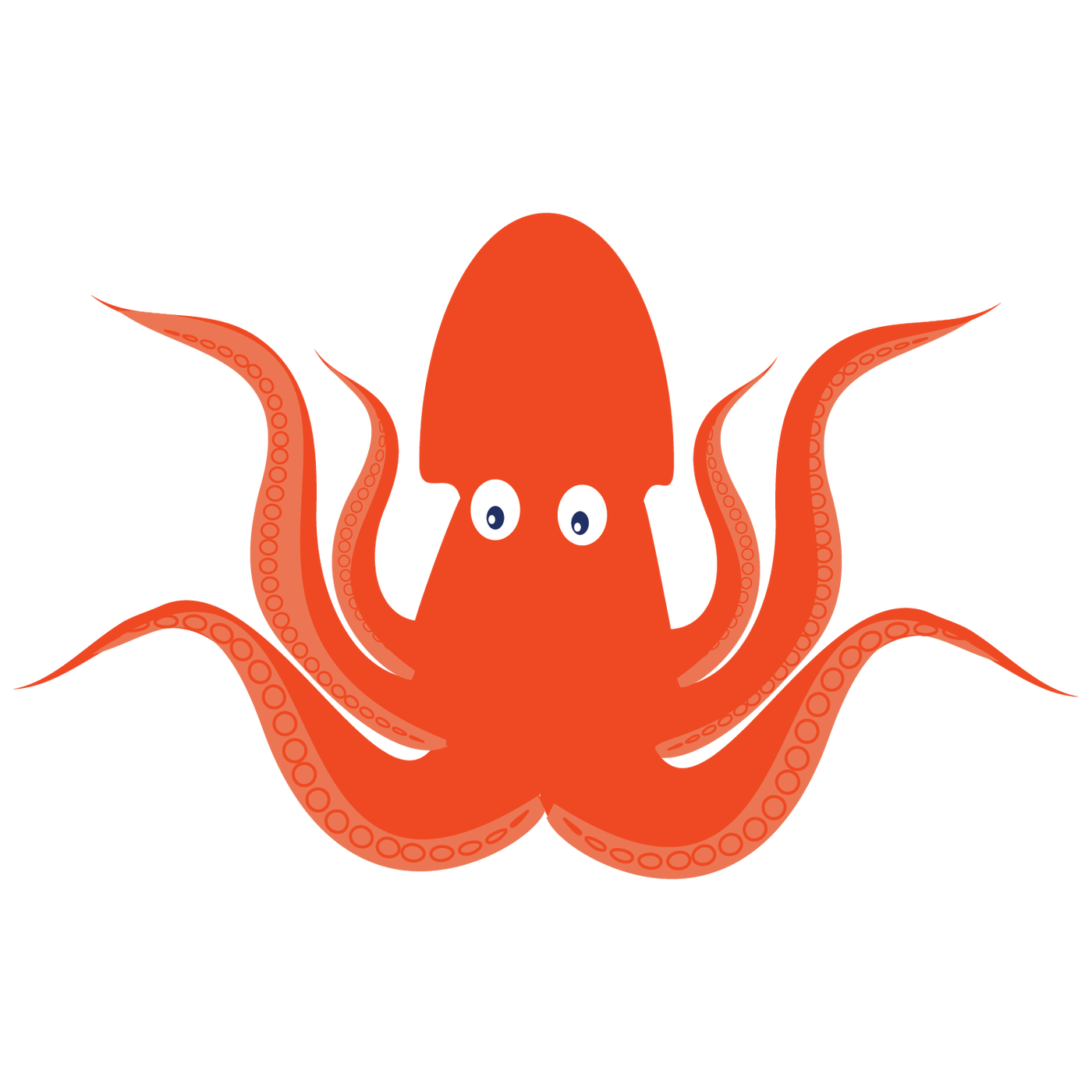 Octopus under sea