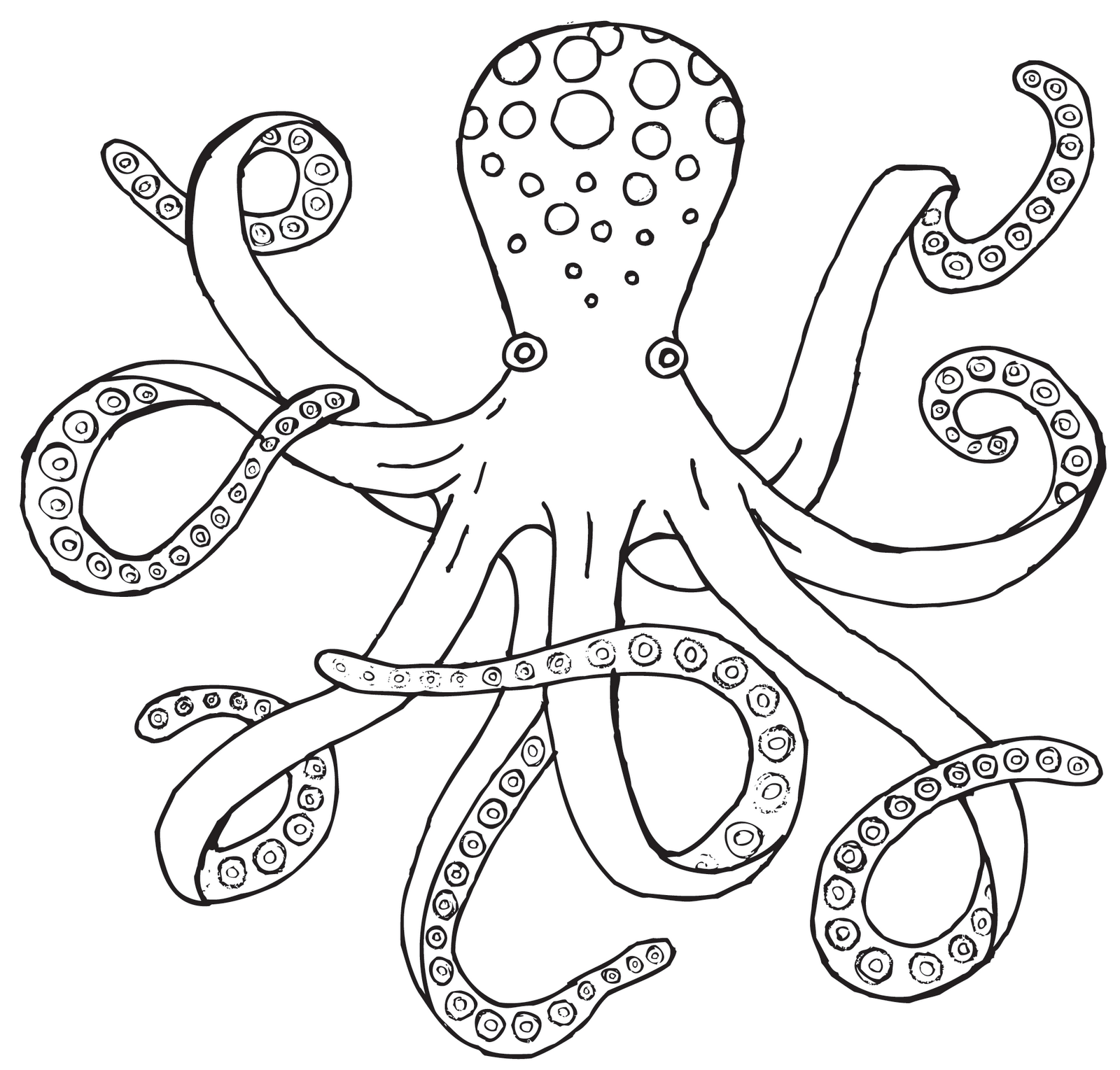 Black and white . Clipart octopus octopus drawing
