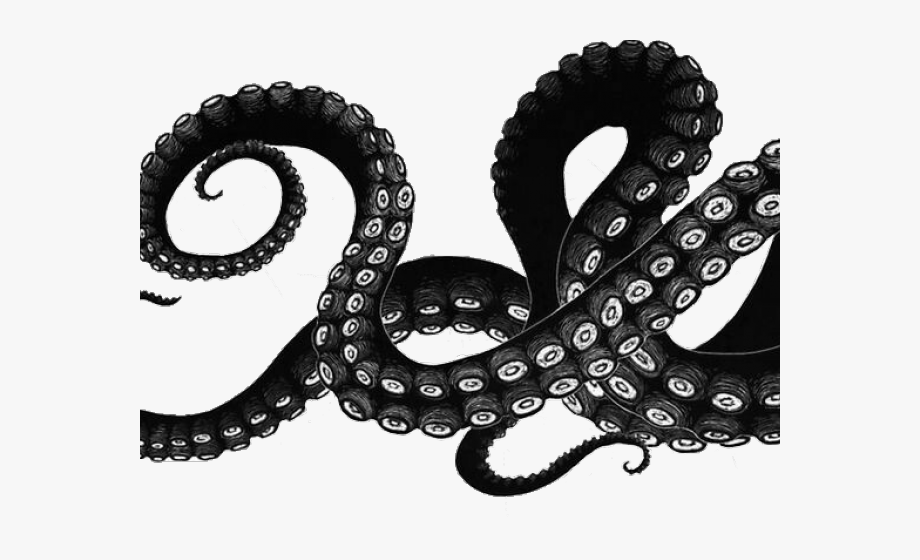 Download Silhouette Octopus Tentacles Svg / Also vector tentacles ...