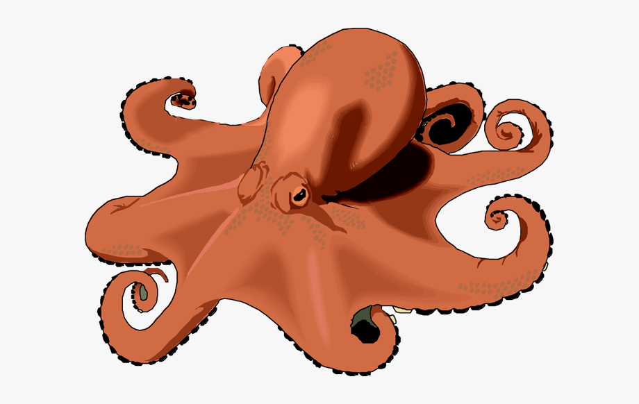 clipart octopus octupos