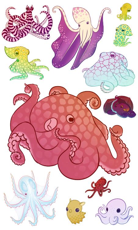 Squid marine biology