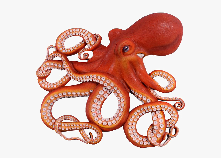clipart octopus realistic