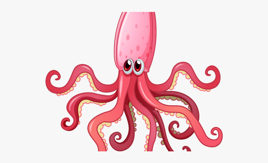 clipart octopus squid