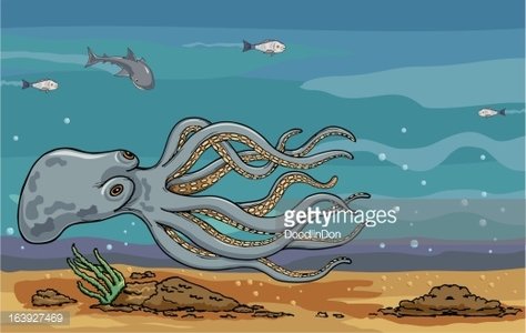clipart octopus swimming