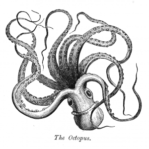 A curious collection of. Clipart octopus vintage