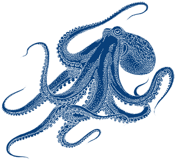 clipart octopus watercolor