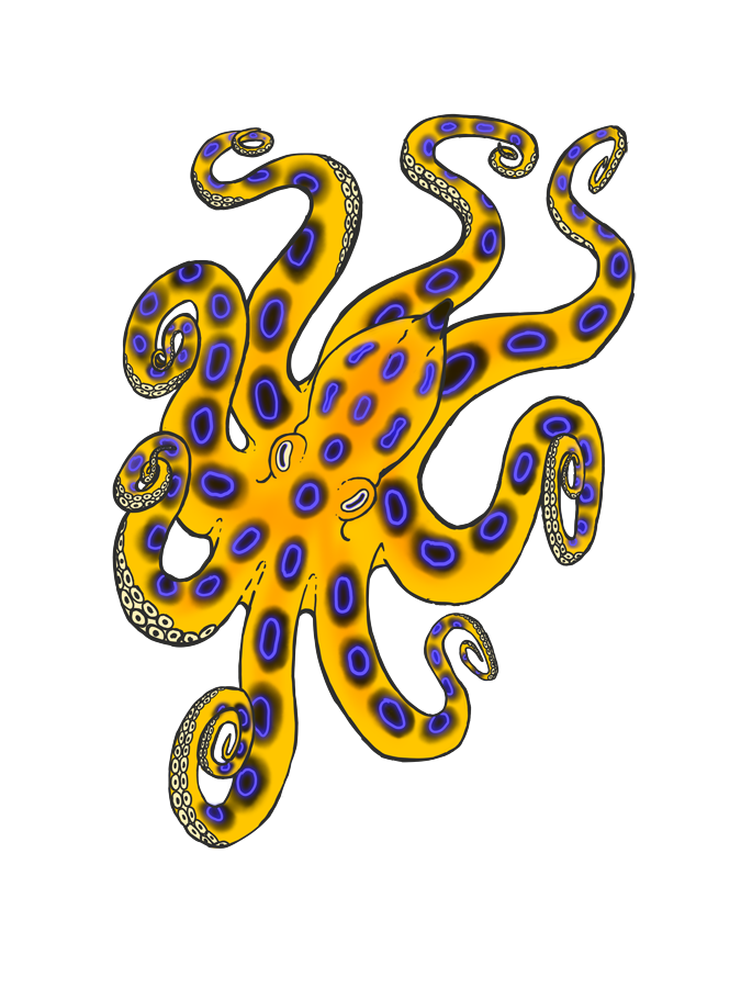 Blue ringed by foxxie. Clipart octopus yellow