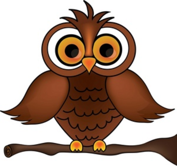 clipart owl animated