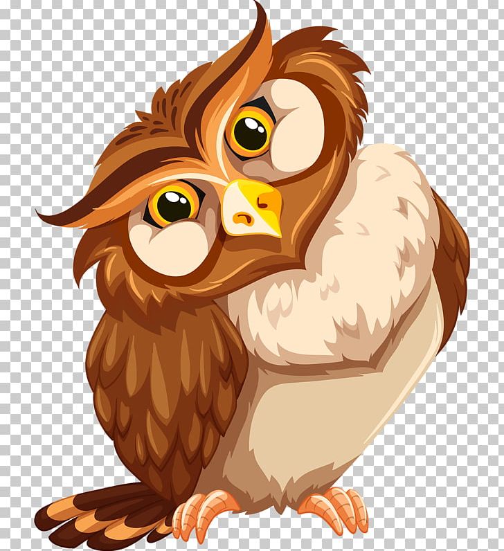clipart owl bird