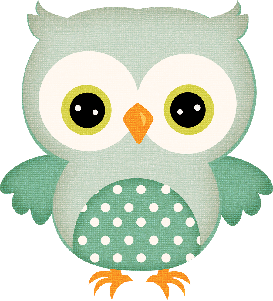 Clipart owl doodle. Baby boy png transparent