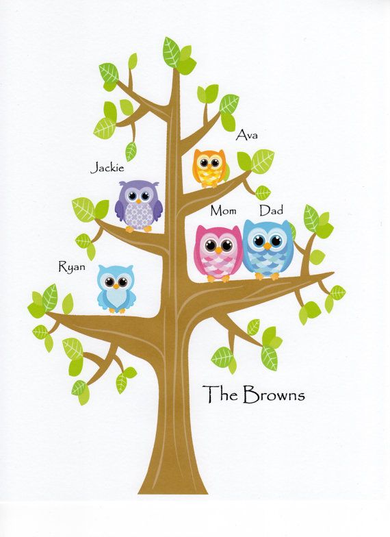 clipart owl family tree