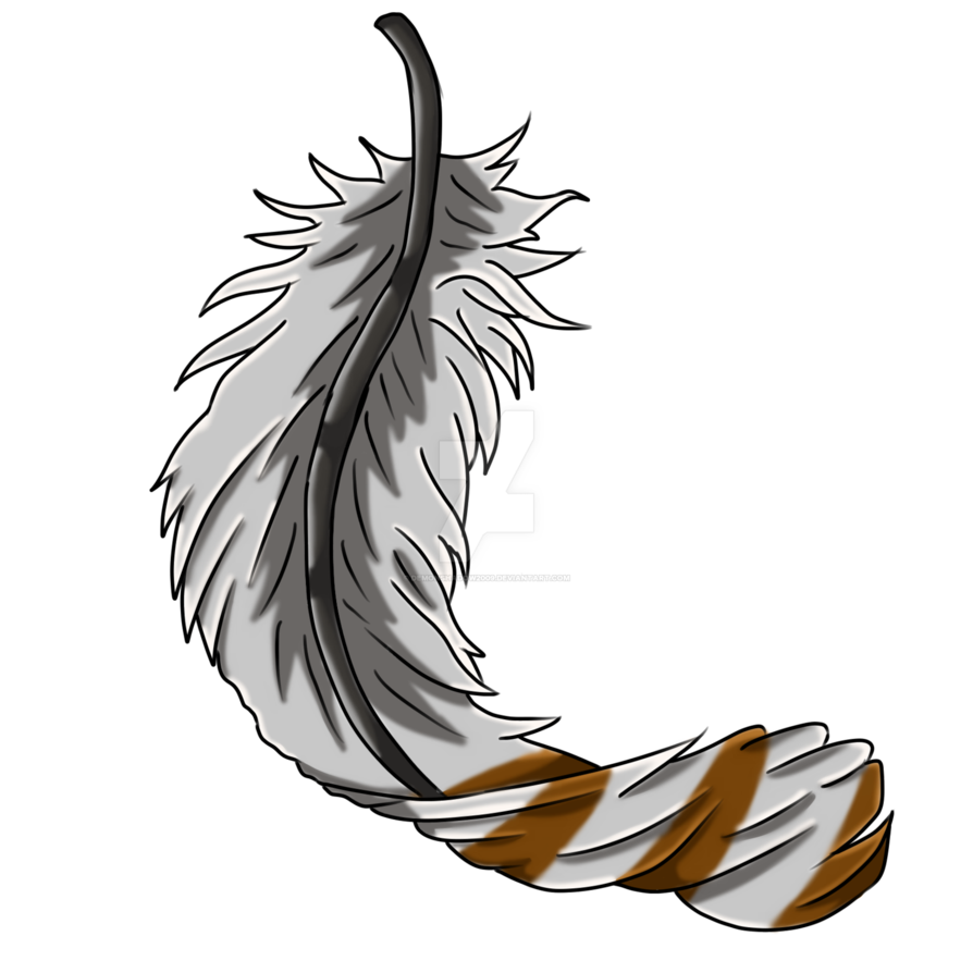 clipart owl feather