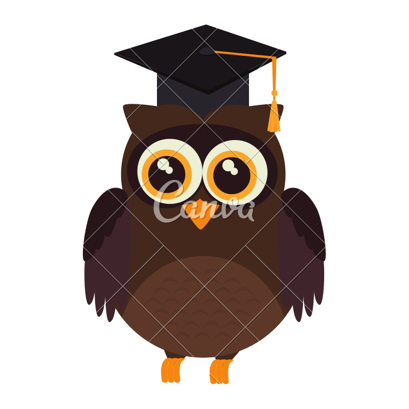 Clipart Owl Graduate, Clipart Owl Graduate Transparent Free For 