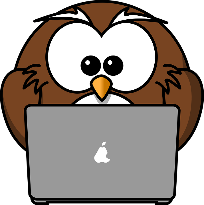 Clipart owl leader. Why your small business