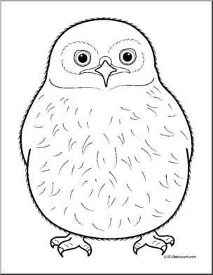 clipart owl owlet