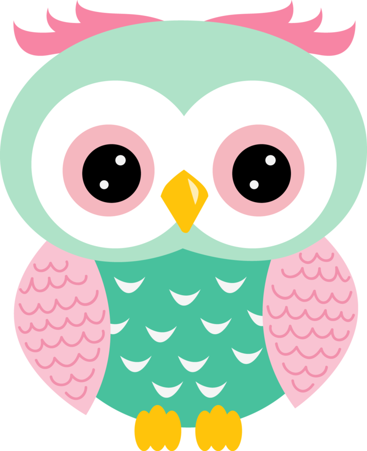 Owl paisley