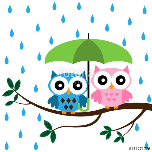 Clipart owl rainy, Clipart owl rainy Transparent FREE for download on ...