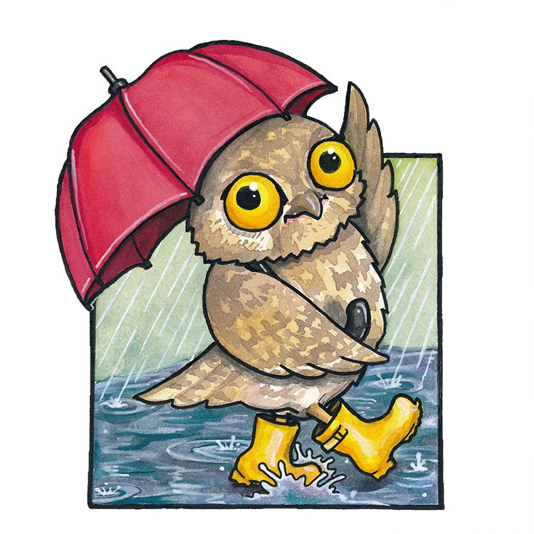 Clipart owl rainy. Illustration watercolor watercolour galoshes