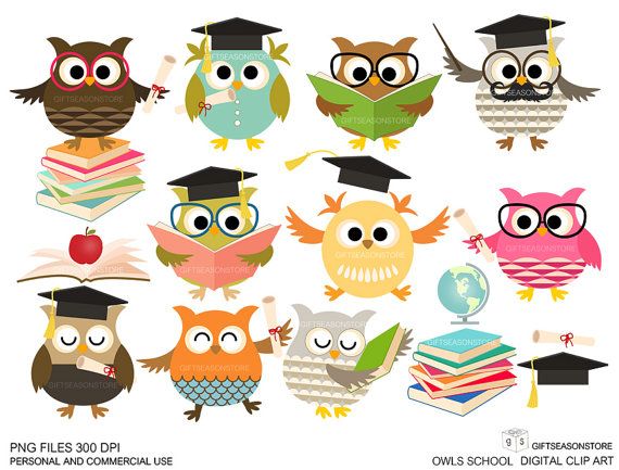 clipart owl school