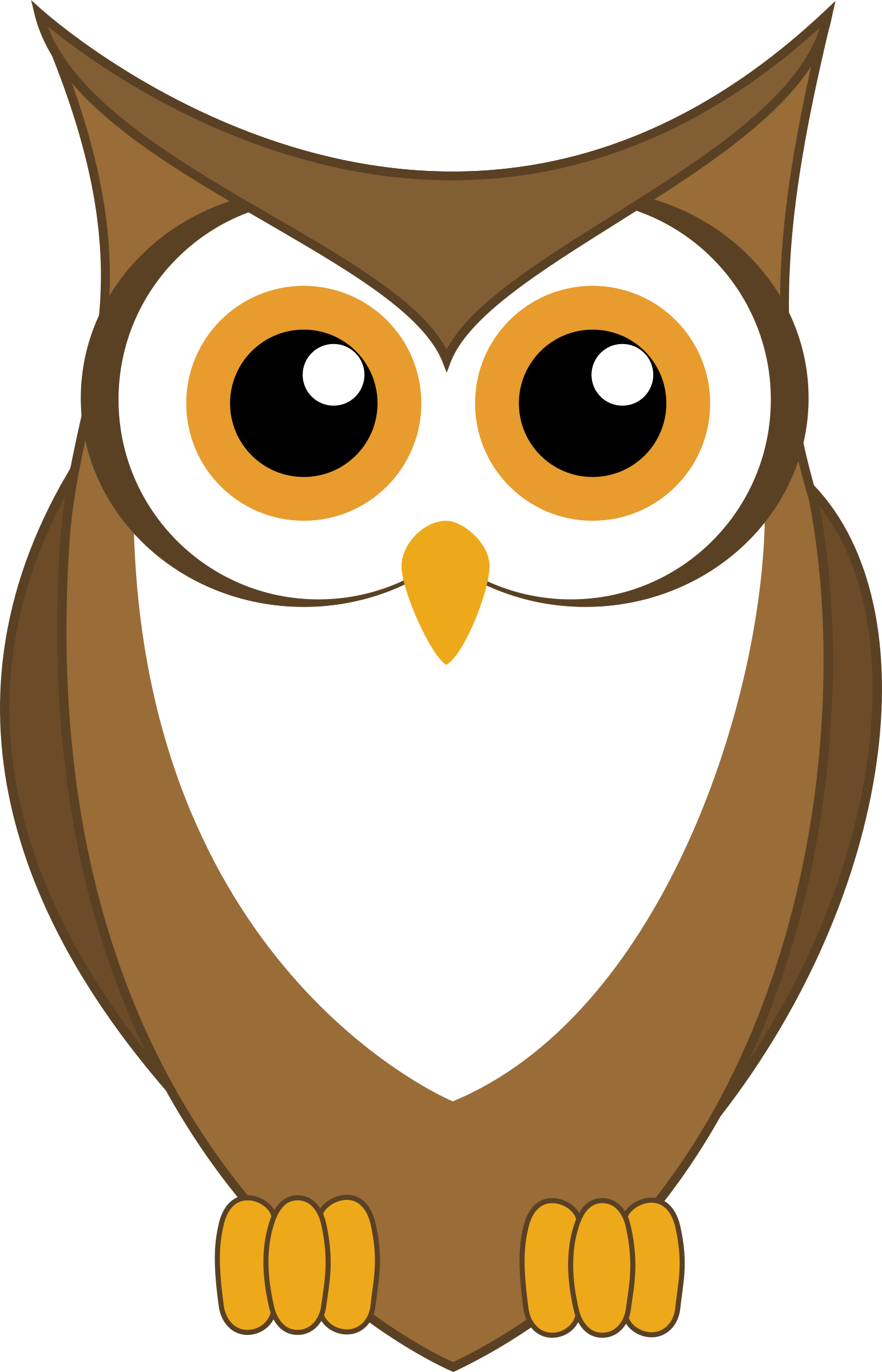 Owl clipart head, Owl head Transparent FREE for download ...